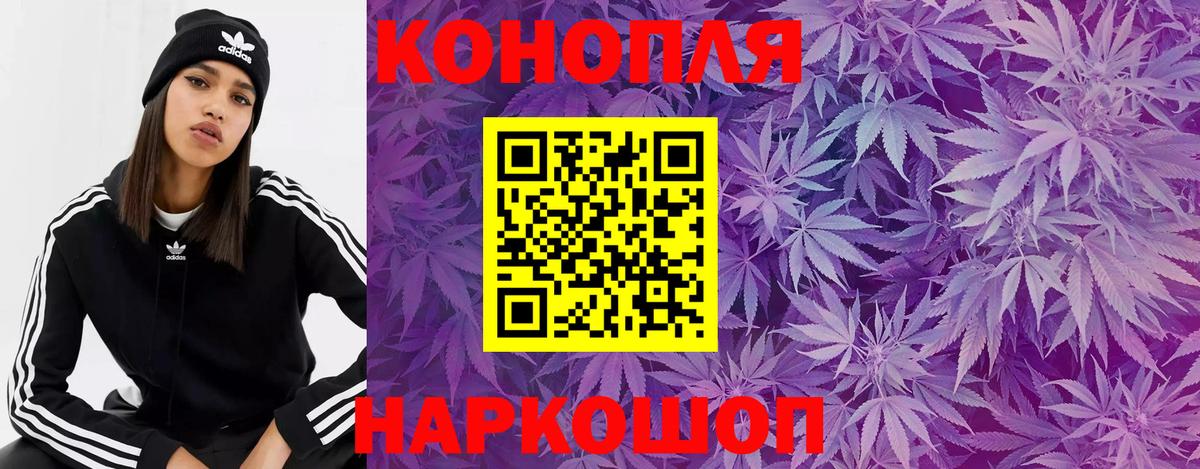 Канабис планчик Стрежевой